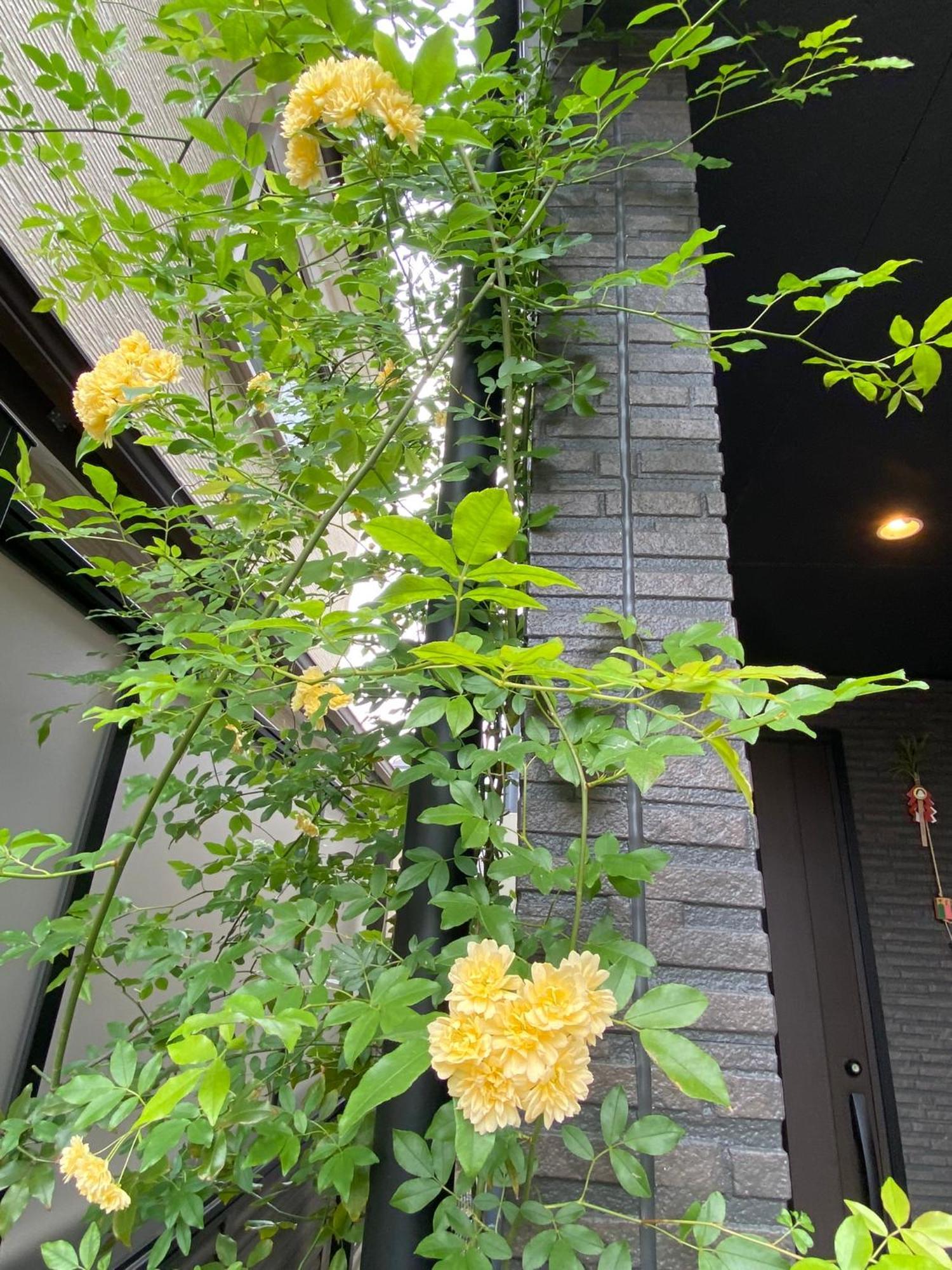 遥華-Haruka House 호텔 교토 외부 사진
