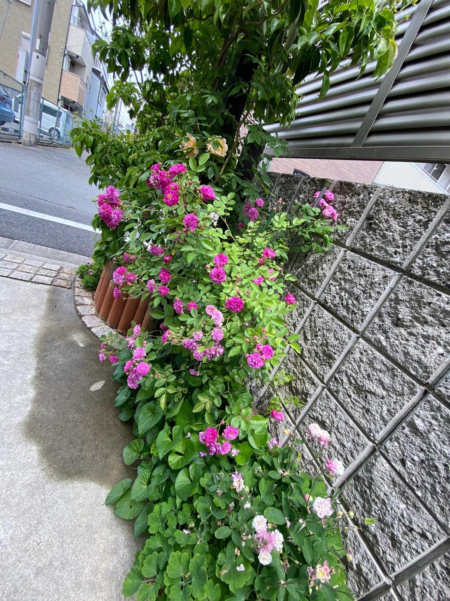 遥華-Haruka House 호텔 교토 외부 사진