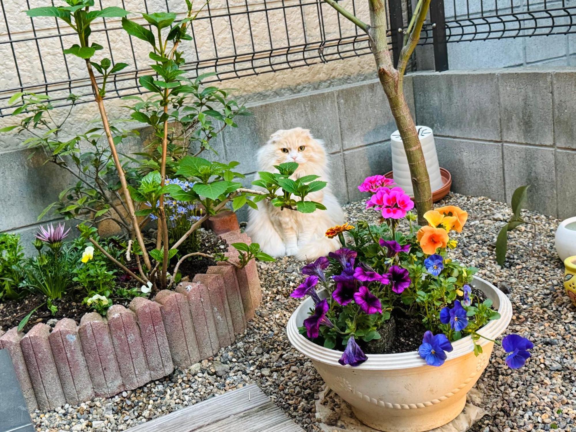 遥華-Haruka House 호텔 교토 외부 사진